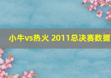 小牛vs热火 2011总决赛数据